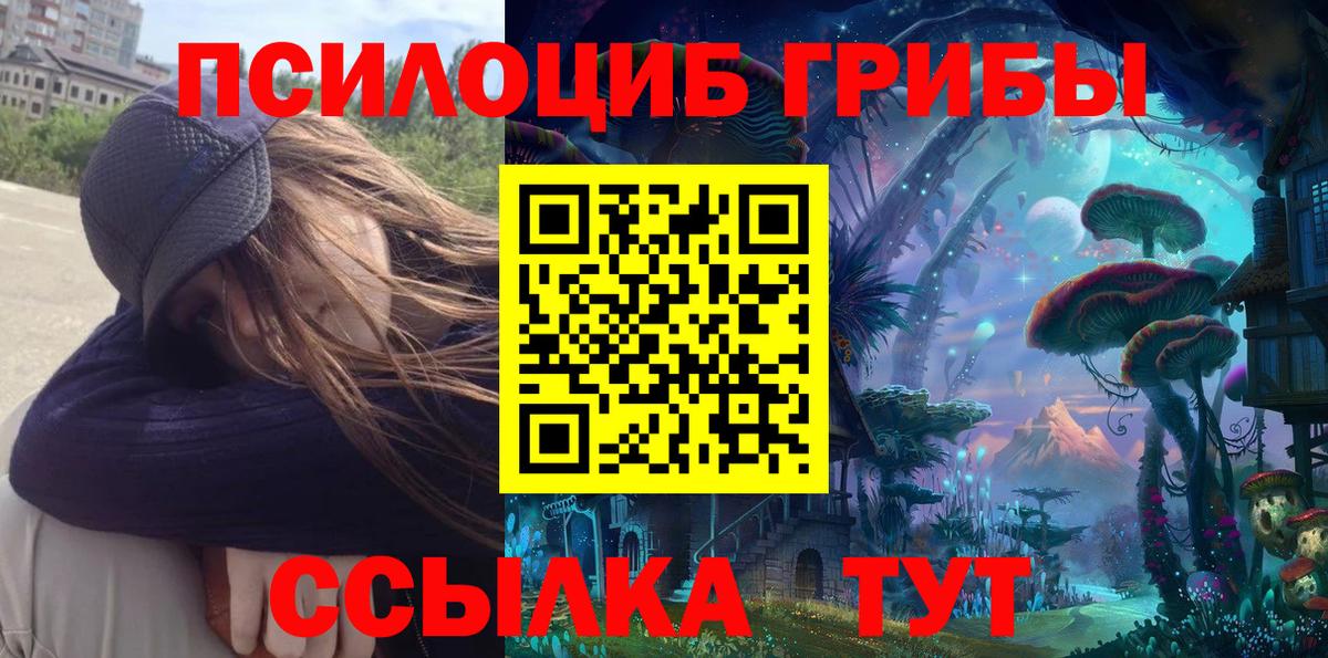 Псилоцибиновые грибы Cubensis  Галлюциногенные грибы Psilocybe  Асбест  Вход с VPN 